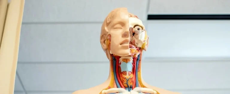 Definitive Guide to Injury Classification