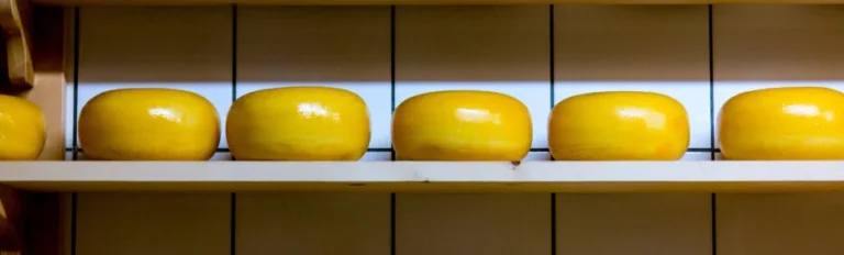 Crunching Numbers with a Side of Cheese Crunching Numbers with a Side of Cheese